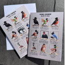 Search for felicitations cards Commencement