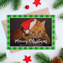 Search for feline christmas cards Cute
