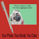 Search for stuffers Pet photo