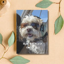 Search for funny dog birthday cards Cool