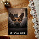 Search for german get well cards Shepherd