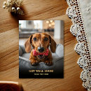 Search for doxie cards Adorable