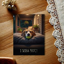 Search for missing pet supplies Cute