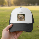 Search for memorial baseball caps Dog