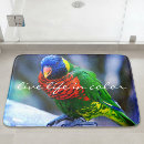 Search for bird bath mats Photography