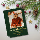 Search for forest christmas cards Typography