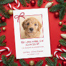 Search for funny christmas cards Cute