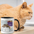 Search for funny orange cat mugs Blue