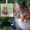 Search for orange tabby cat christmas tree decorations Funny