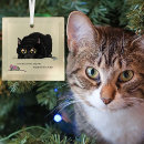Search for butt christmas tree decorations Funny