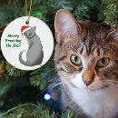 Search for grumpy cat christmas tree decorations Funny