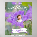 Search for wildflower posters Garden