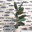 Search for sardine posters Nautical