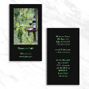 Search for vineyard photography Grapes