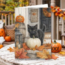 Search for halloween cards Jack o lantern