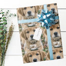 Search for golden retriever wrapping paper Cute
