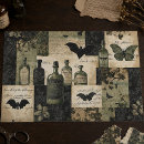 Search for apothecary tissue paper Moths