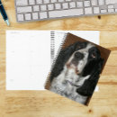 Search for spaniel office supplies English springer spaniel