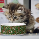 Search for christmas pet bowls White