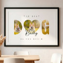 Search for third pet supplies Photo collage