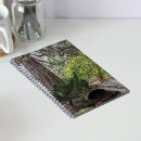 Search for arches photography Trees