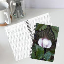 Search for pulpit Floral