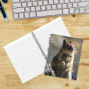 Search for burrowing photography Cute