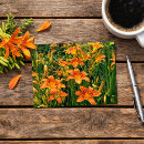 Search for orange lily postcards Garden