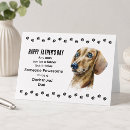 Search for dachshund dad From the dog