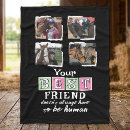 Search for horse photo blankets Pets