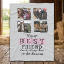 Search for best friend blankets Pink