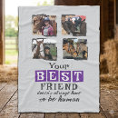 Search for horse photo blankets Pets