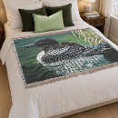 Search for common loon Lake life