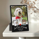 Search for collage pet memorials Dog