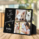 Search for hello pet supplies In loving memory