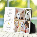 Search for christmas pet portraits In loving memory