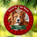 Search for loss pet memorial ornaments Forever in our hearts