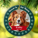 Search for loss pet memorial ornaments Forever in our hearts