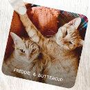 Search for minimalist animal key rings Pet photo