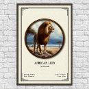 Search for lion pride posters Animal
