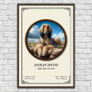 Search for afghan Canine