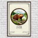 Search for beaver art Wildlife