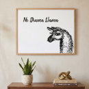Search for white llama posters Black and white