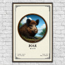 Search for boars posters Pig