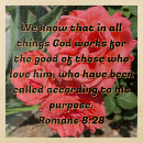 Search for hope puzzles Inspirational