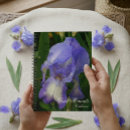 Search for indigo photography For her