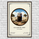 Search for ferret gifts Mammal