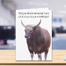 Search for bull cards Wild