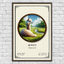 Search for alpaca posters Vintage