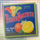Search for feather tiles Vintage